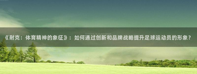 世界杯48支球队赛制：《耐克：体育精神的象征》：如何通过创新和品牌战略提升足球运动员的形象？