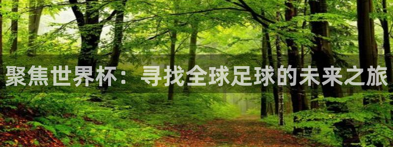 足球世界杯：聚焦世界杯：寻找全球足球的未来之旅