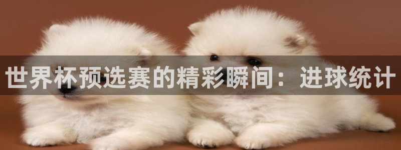 2026年世界杯赛程表时间：世界杯预选赛的精彩瞬间：进球统计