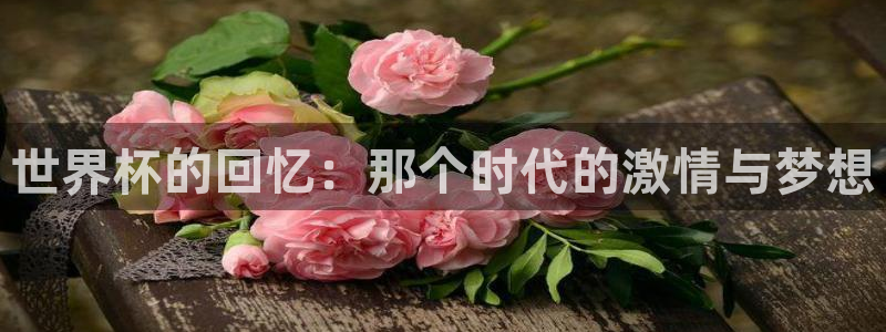 世界杯预选赛欧洲：世界杯的回忆：那个时代的激情与梦想