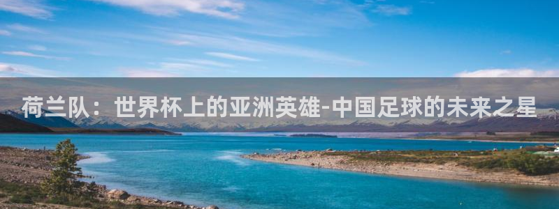 世界杯2026赛程表：荷兰队：世界杯上的亚洲英雄-中国足球的未来之星