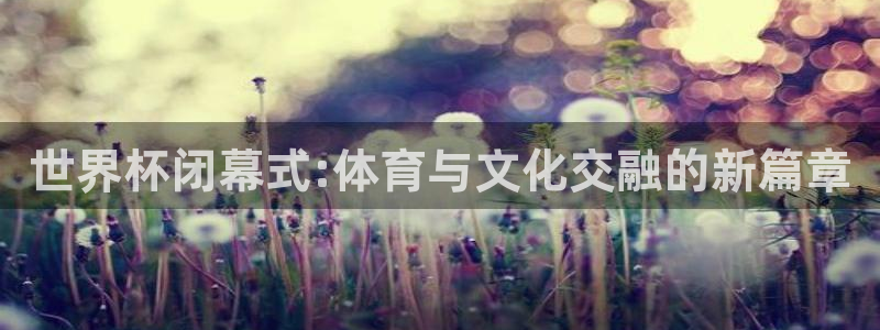 欧洲世预赛赛程表：世界杯闭幕式:体育与文化交融的新篇章