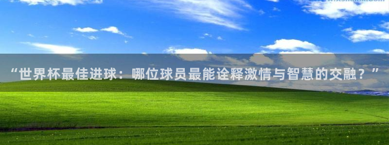 2026世界杯赛制：“世界杯最佳进球：哪位球员最能诠释激情与智慧的交融？”
