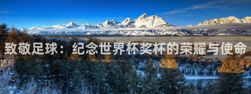 2026男足世界杯赛程：致敬足球：纪念世界杯奖杯的荣耀与使命