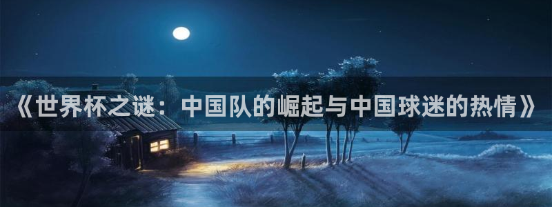 世界杯 2026：《世界杯之谜：中国队的崛起与中国球迷的热情》