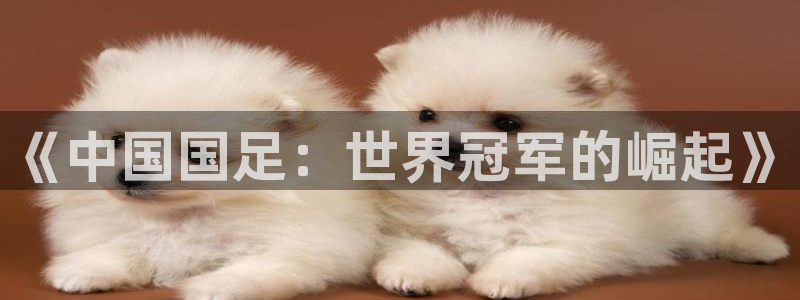 世界杯足球：《中国国足：世界冠军的崛起》