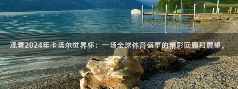 2026世界杯官网：观看2024年卡塔尔世界杯：一场全球体育盛事的精彩回顾和展望。