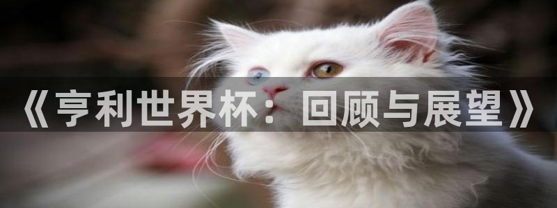 世界杯2026比赛时间表：《亨利世界杯：回顾与展望》