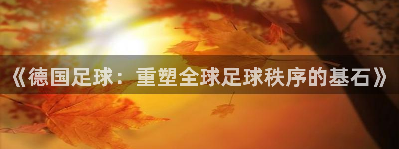 世预赛免费直播入口：《德国足球：重塑全球足球秩序的基石》