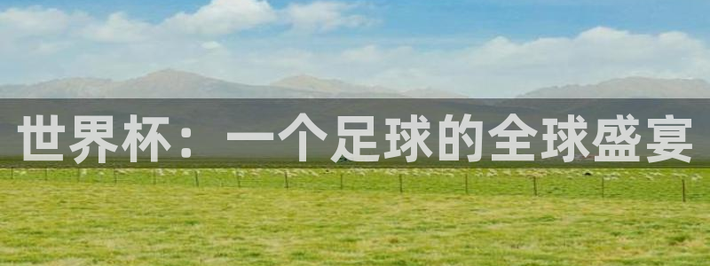免费看足球直播比赛：世界杯：一个足球的全球盛宴