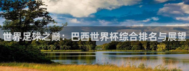 世界杯预赛赛程：世界足球之巅：巴西世界杯综合排名与展望